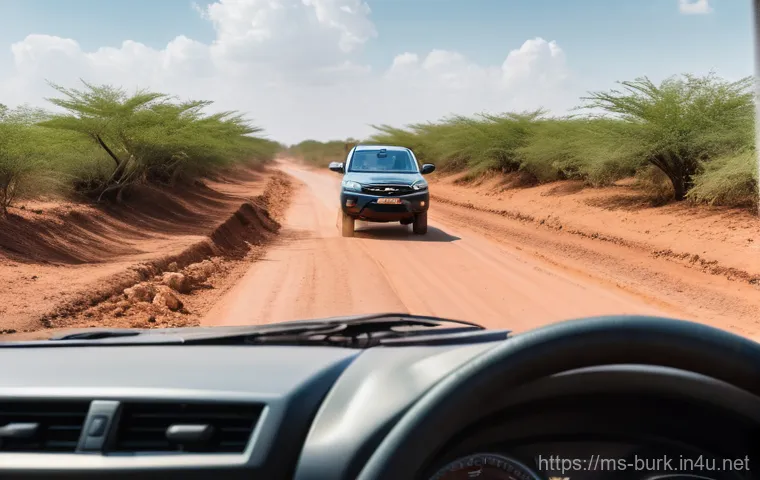 부르키나파소에서 자동차 구입 및 유지비용 - A photo-realistic image depicting a bustling used car market scene in Ouagadougou, Burkina Faso. Sev...