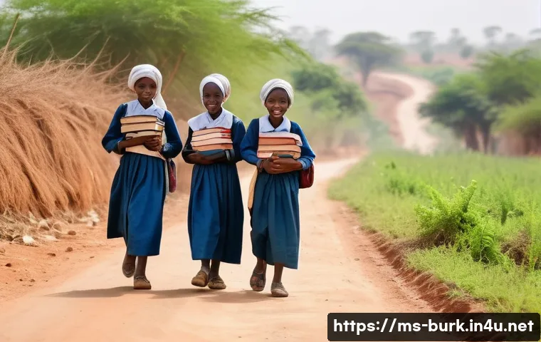 부르키나파소에서의 여성 인권 문제 관련 이미지 1